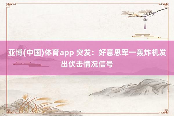 亚博(中国)体育app 突发：好意思军一轰炸机发出伏击情况信号