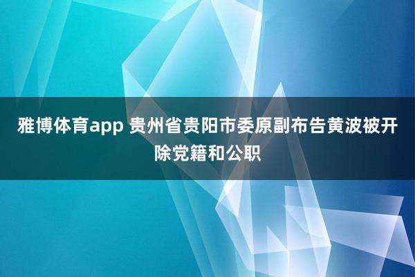 雅博体育app 贵州省贵阳市委原副布告黄波被开除党籍和公职