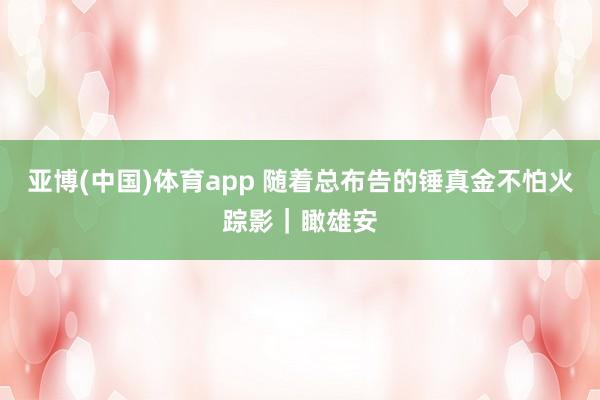 亚博(中国)体育app 随着总布告的锤真金不怕火踪影｜瞰雄安