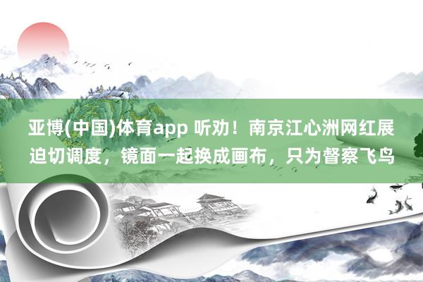 亚博(中国)体育app 听劝！南京江心洲网红展迫切调度，镜面一起换成画布，只为督察飞鸟