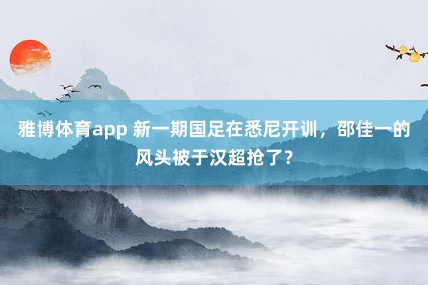 雅博体育app 新一期国足在悉尼开训，邵佳一的风头被于汉超抢了？