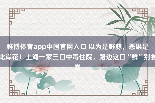 雅博体育app中国官网入口 以为是野蒜，恶果是此岸花！上海一家三口中毒住院，路边这口“鲜”别尝