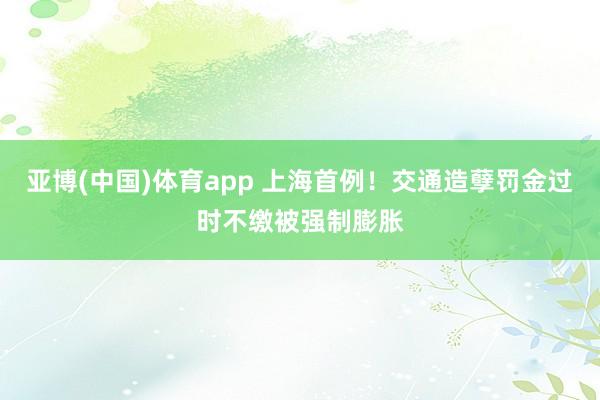 亚博(中国)体育app 上海首例！交通造孽罚金过时不缴被强制膨胀