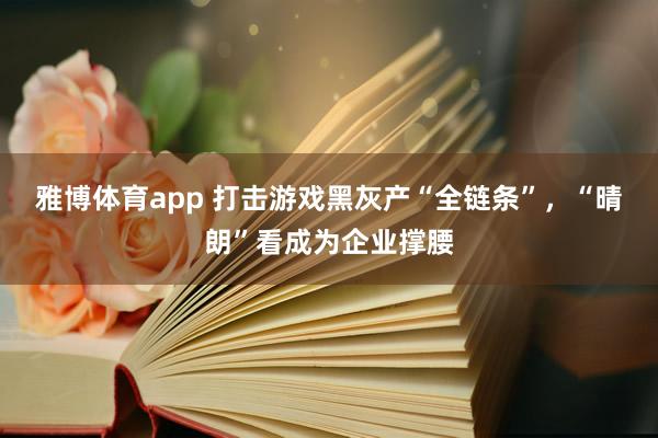 雅博体育app 打击游戏黑灰产“全链条”，“晴朗”看成为企业撑腰