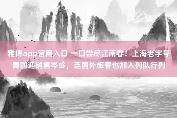 雅博app官网入口 一口尝尽江南春！上海老字号青团迎销售岑岭，连国外旅客也加入列队行列