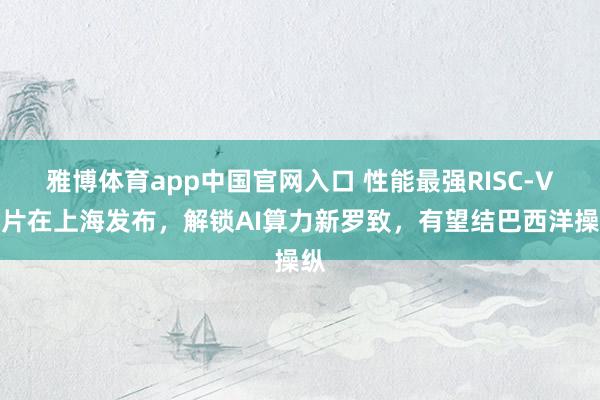雅博体育app中国官网入口 性能最强RISC-V芯片在上海发布，解锁AI算力新罗致，有望结巴西洋操纵