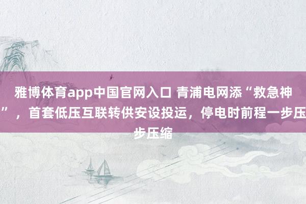 雅博体育app中国官网入口 青浦电网添“救急神器” ，首套低压互联转供安设投运，停电时前程一步压缩