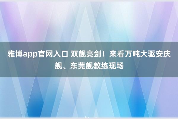 雅博app官网入口 双舰亮剑！来看万吨大驱安庆舰、东莞舰教练现场