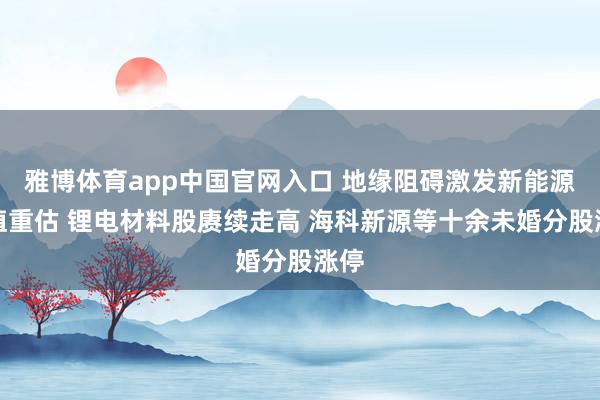 雅博体育app中国官网入口 地缘阻碍激发新能源价值重估 锂电材料股赓续走高 海科新源等十余未婚分股涨停