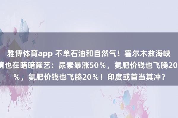 雅博体育app 不单石油和自然气！霍尔木兹海峡被卡后，全球肥料危境也在暗暗献艺：尿素暴涨50％，氨肥价钱也飞腾20％！印度或首当其冲？