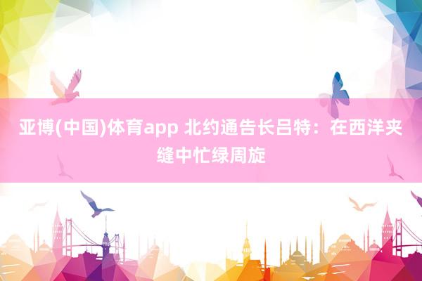 亚博(中国)体育app 北约通告长吕特：在西洋夹缝中忙绿周旋