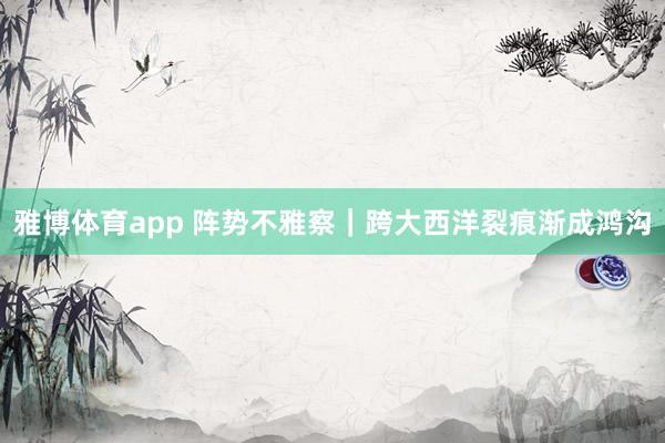 雅博体育app 阵势不雅察｜跨大西洋裂痕渐成鸿沟