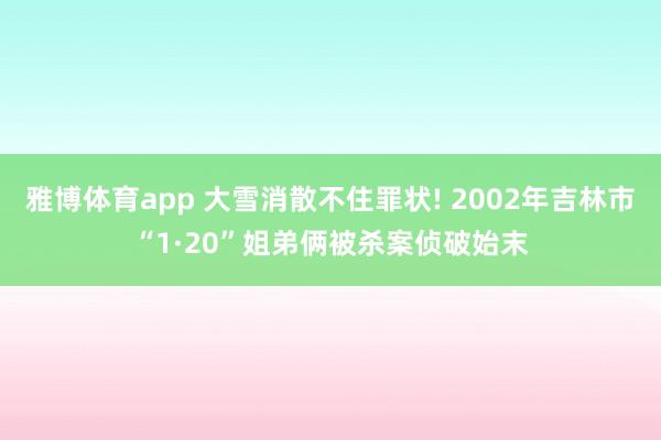 雅博体育app 大雪消散不住罪状! 2002年吉林市“1·20”姐弟俩被杀案侦破始末