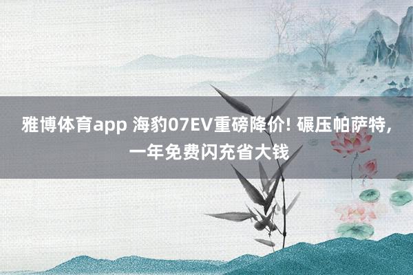 雅博体育app 海豹07EV重磅降价! 碾压帕萨特， 一年免费闪充省大钱