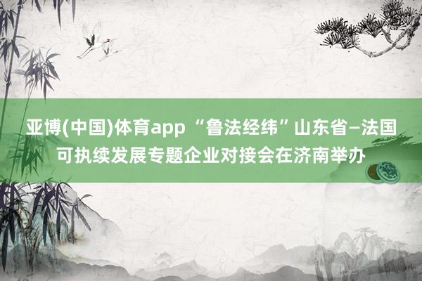 亚博(中国)体育app “鲁法经纬”山东省—法国可执续发展专题企业对接会在济南举办