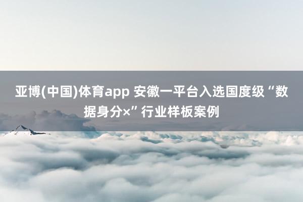 亚博(中国)体育app 安徽一平台入选国度级“数据身分×”行业样板案例