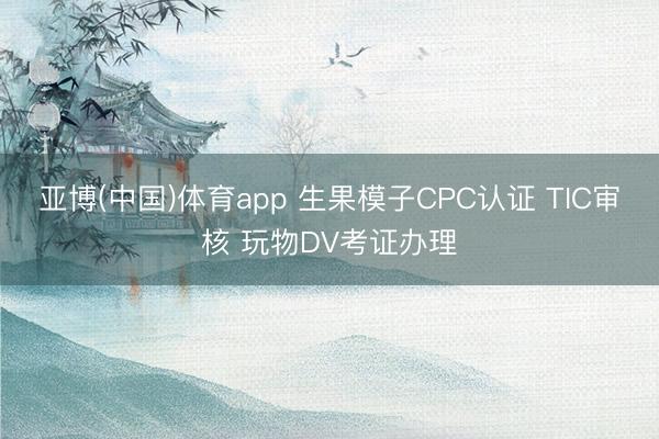 亚博(中国)体育app 生果模子CPC认证 TIC审核 玩物DV考证办理