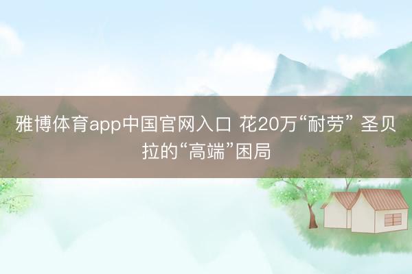 雅博体育app中国官网入口 花20万“耐劳” 圣贝拉的“高端”困局
