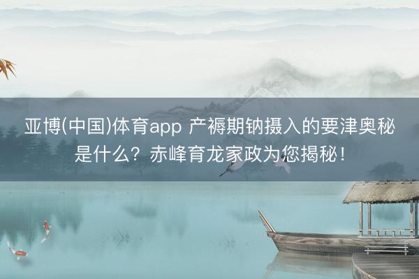 亚博(中国)体育app 产褥期钠摄入的要津奥秘是什么？赤峰育龙家政为您揭秘！