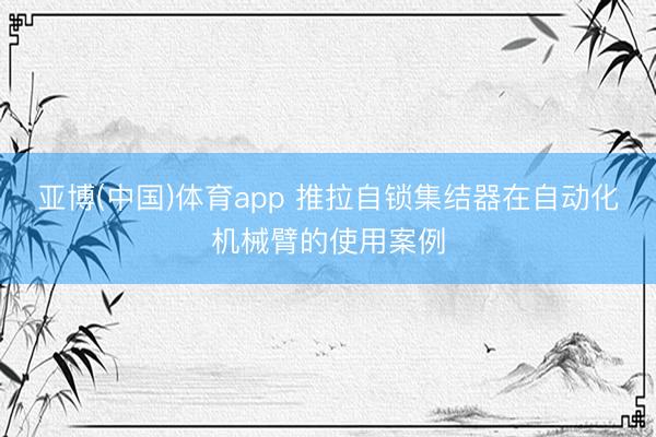 亚博(中国)体育app 推拉自锁集结器在自动化机械臂的使用案例