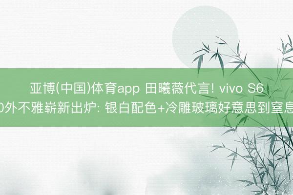 亚博(中国)体育app 田曦薇代言! vivo S60外不雅崭新出炉: 银白配色+冷雕玻璃好意思到窒息