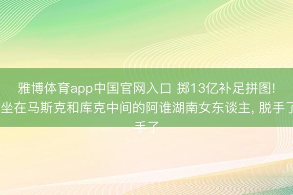 雅博体育app中国官网入口 掷13亿补足拼图! 坐在马斯克和库克中间的阿谁湖南女东谈主， 脱手了