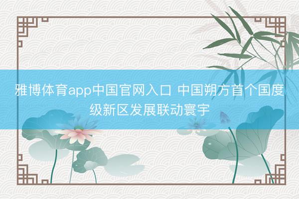 雅博体育app中国官网入口 中国朔方首个国度级新区发展联动寰宇