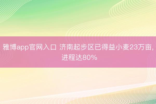 雅博app官网入口 济南起步区已得益小麦23万亩, 进程达80%