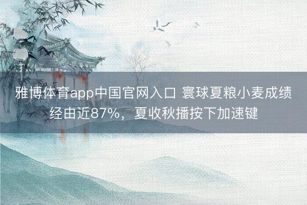 雅博体育app中国官网入口 寰球夏粮小麦成绩经由近87%,夏收秋播按下加速键