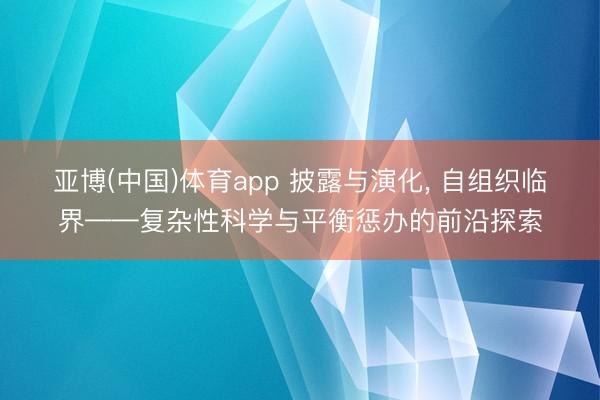 亚博(中国)体育app 披露与演化， 自组织临界——复杂性科学与平衡惩办的前沿探索